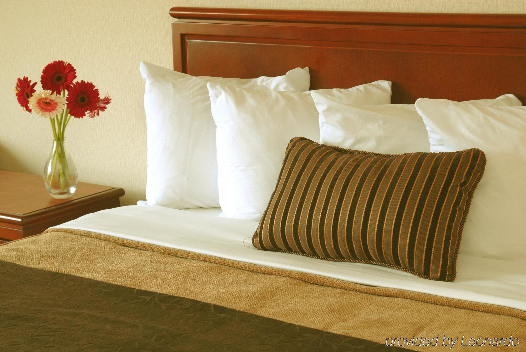 Doubletree By Hilton St. John'S Harbourview Hotel Kamer foto